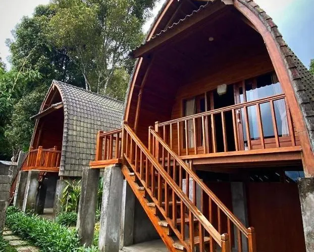 Baliwood Oda ve Kahvaltı