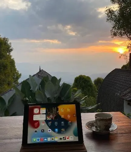 Oda ve Kahvaltı Baliwood 3*